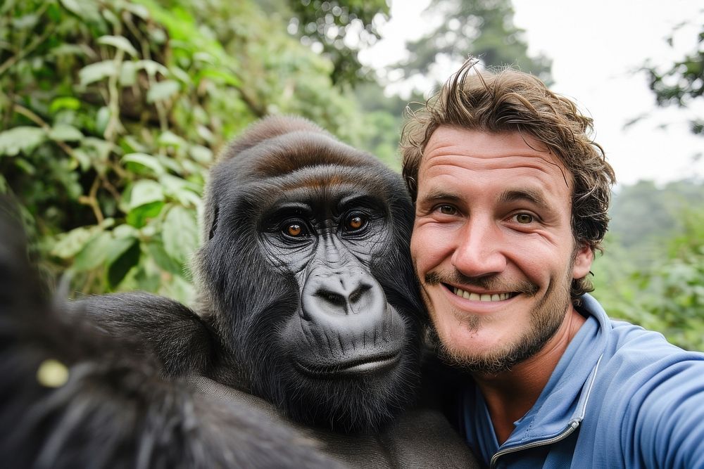 Man and gorilla animal wildlife smiling.