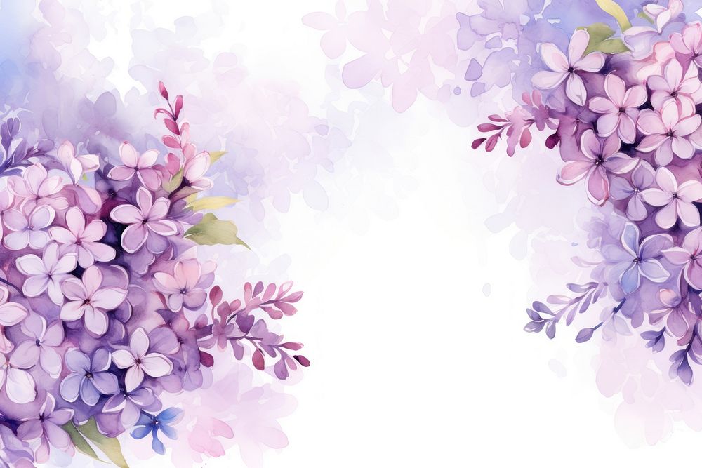 Lilac flowers blossom plant backgrounds.