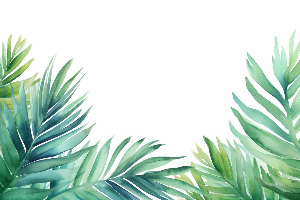 Palm leaves outdoors pattern nature.