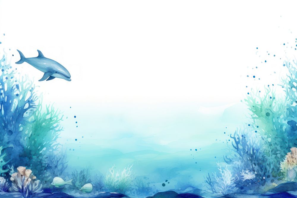 Sea with dolphin outdoors nature animal.