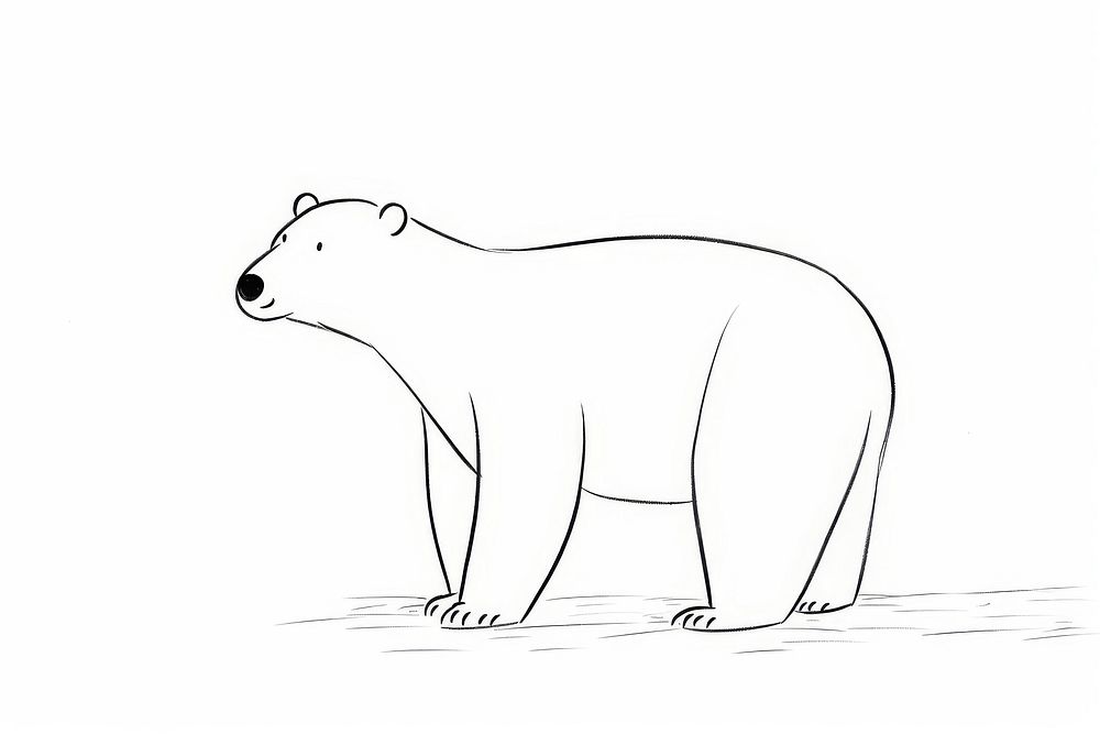 Bear sketch wildlife drawing.