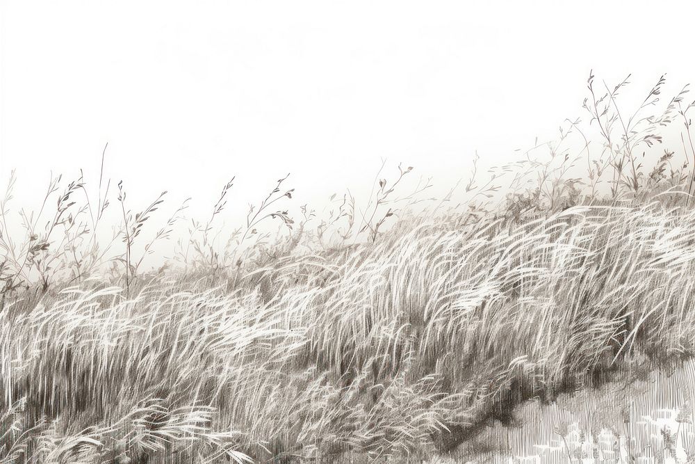  Meadow field border backgrounds outdoors drawing. AI generated Image by rawpixel.