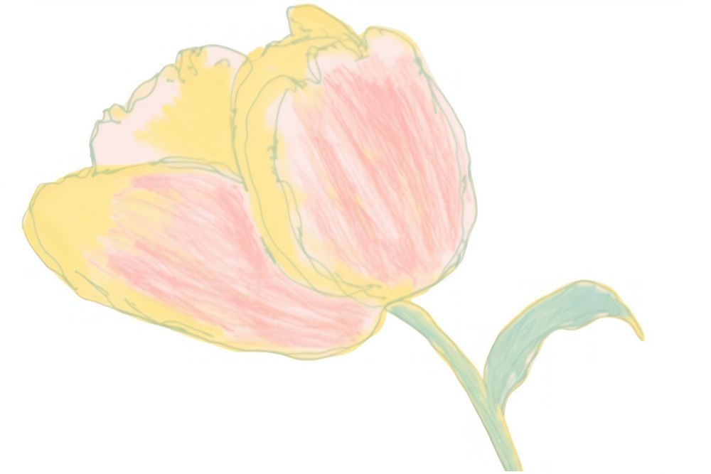 Yellow tulip drawing painting flower. AI generated Image by rawpixel.
