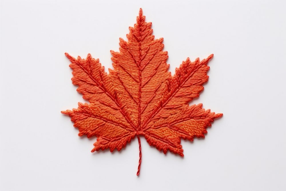 Maple leaf in embroidery style plant tree creativity.