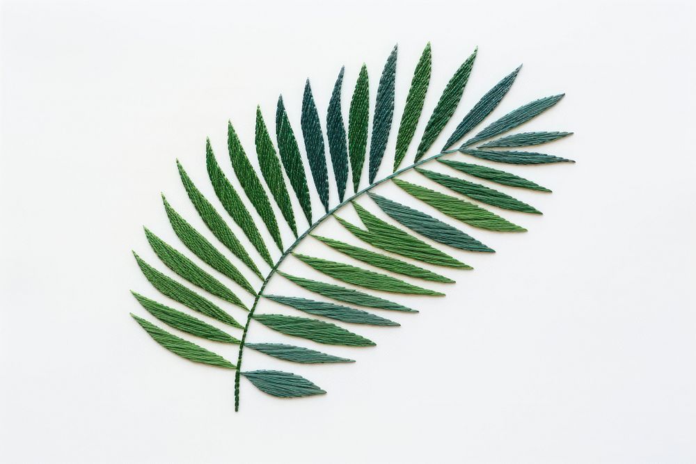 Palm leaf in embroidery style plant fern nature.