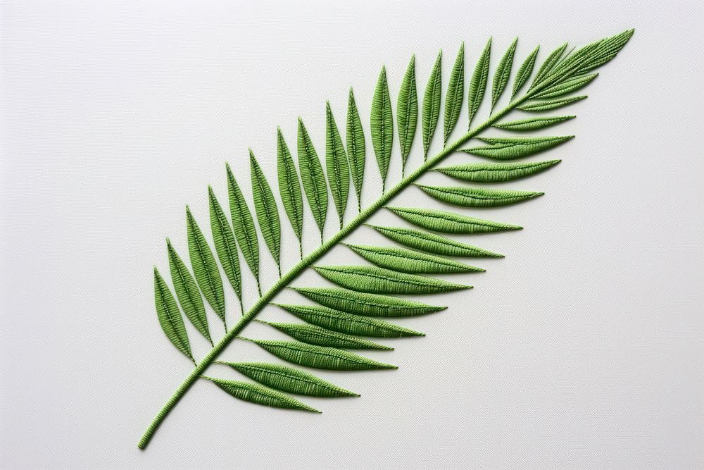 Palm leaf in embroidery style plant fern pattern.
