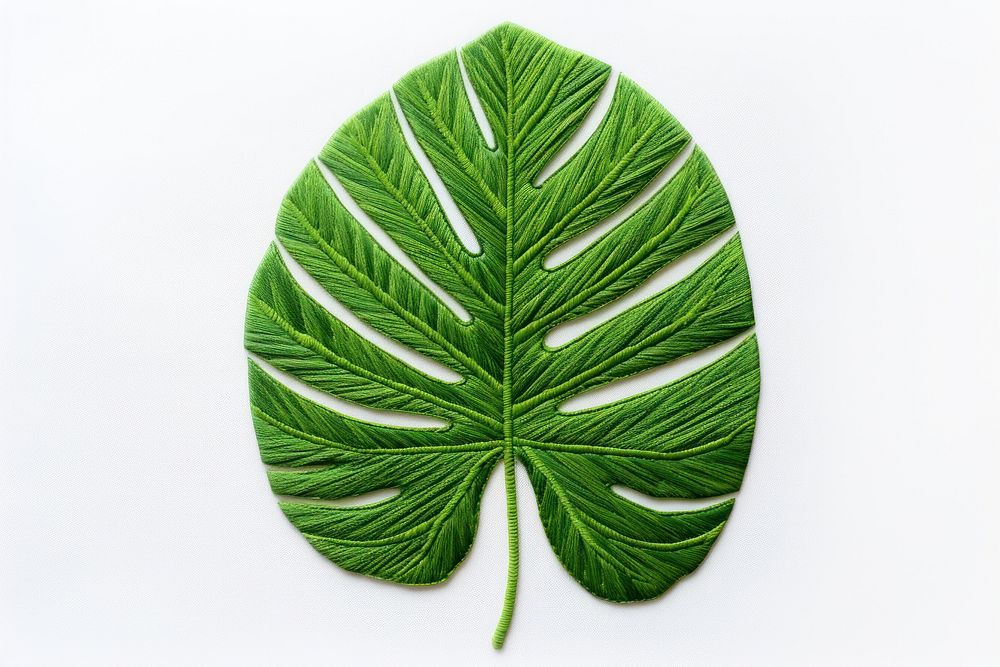 Tropical leaf in embroidery style plant xanthosoma freshness.