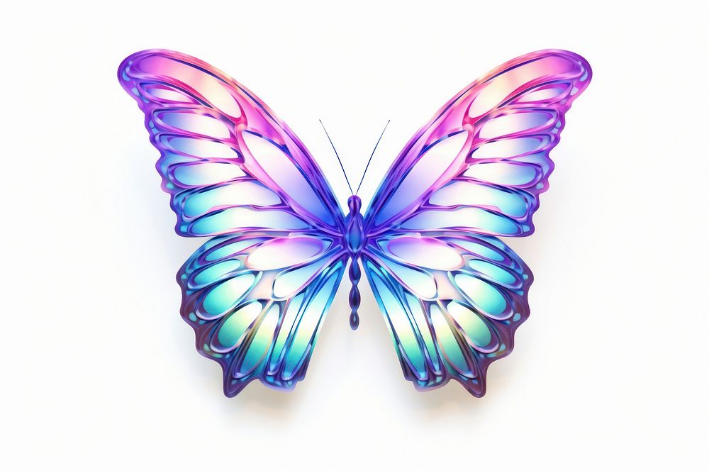 Butterfly animal insect purple.