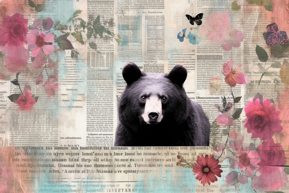 Bear newspaper wildlife collage.