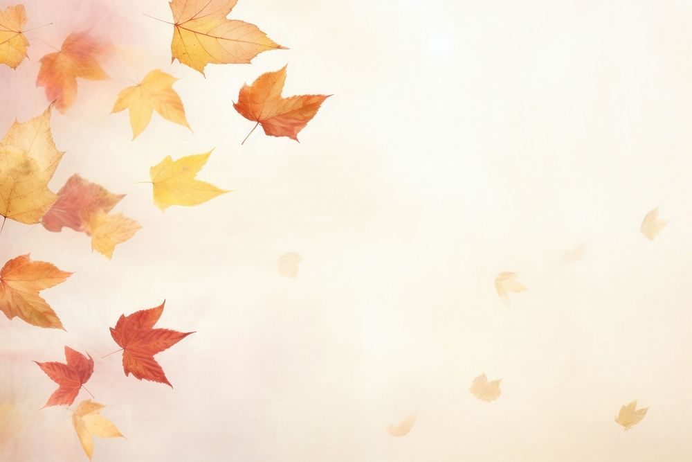 Autumn leaves backgrounds maple plant. AI generated Image by rawpixel.