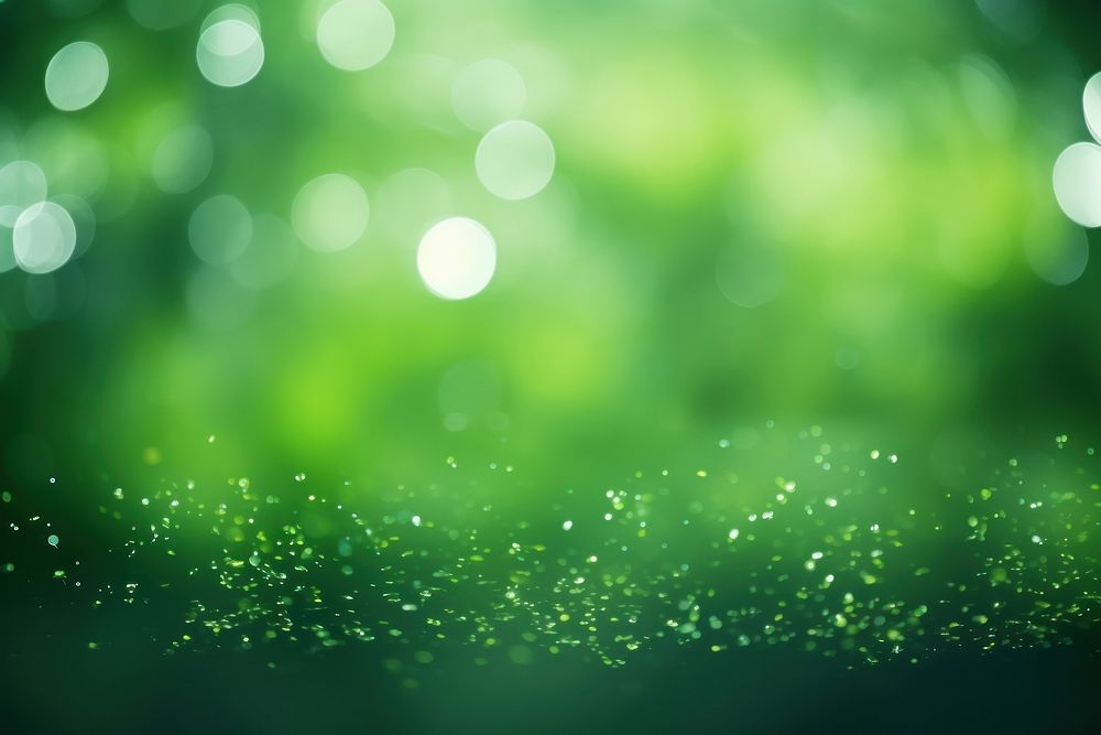 Simple green bokeh background backgrounds light plant.
