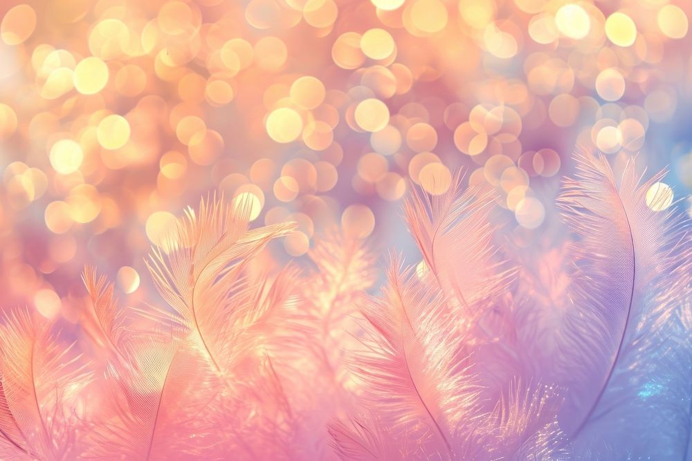 Feather pattern bokeh effect background backgrounds outdoors glitter.