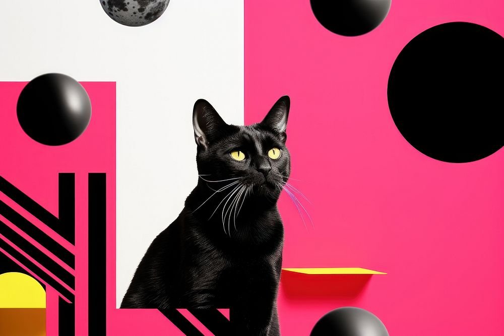 Memphis design of minimal cat background basketball animal mammal.
