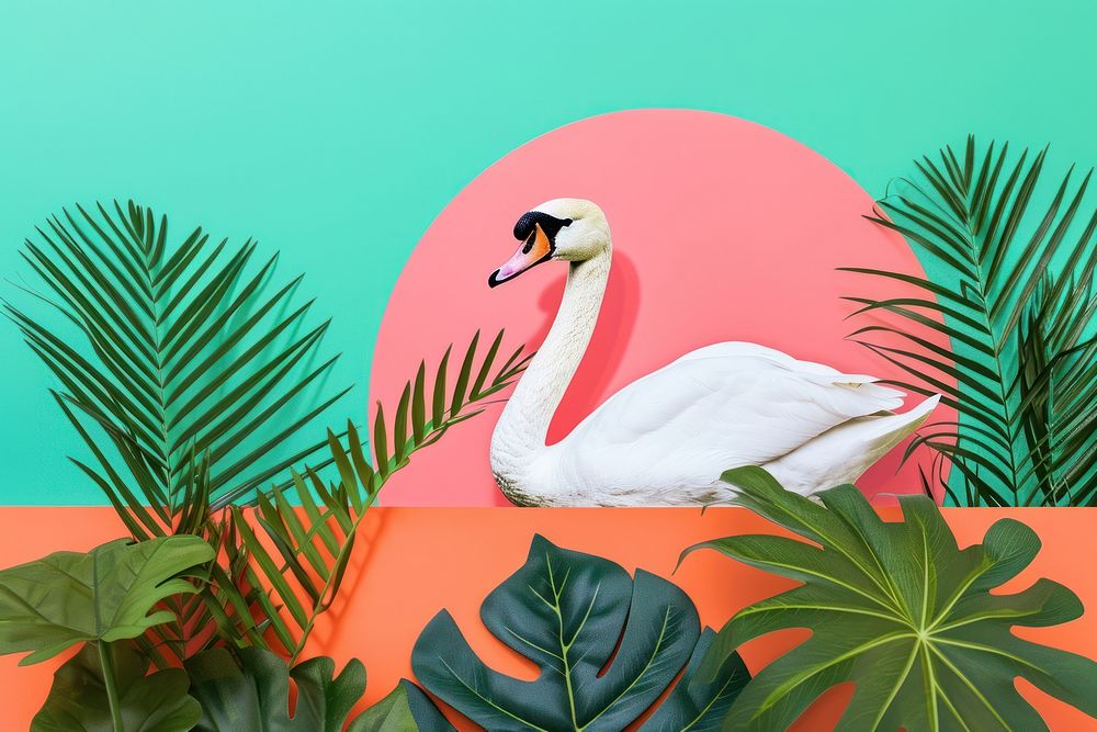 Minimal Collage Retro dreamy of swan outdoors animal bird.