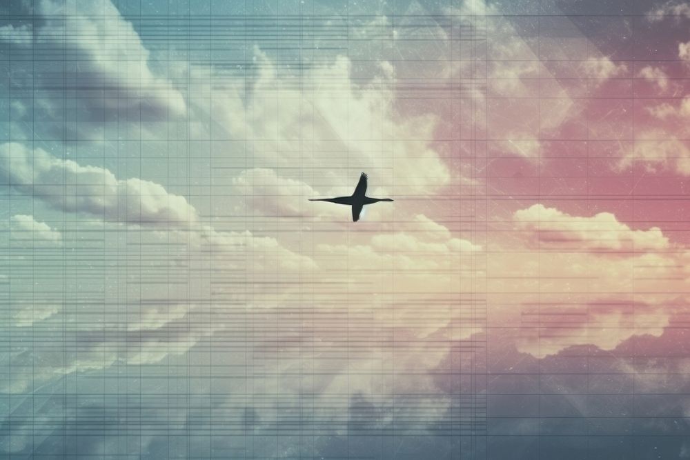 Minimal Collage Retro dreamy of swan airplane aircraft outdoors.