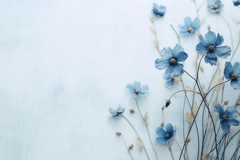 Dried blue flower background backgrounds outdoors nature.