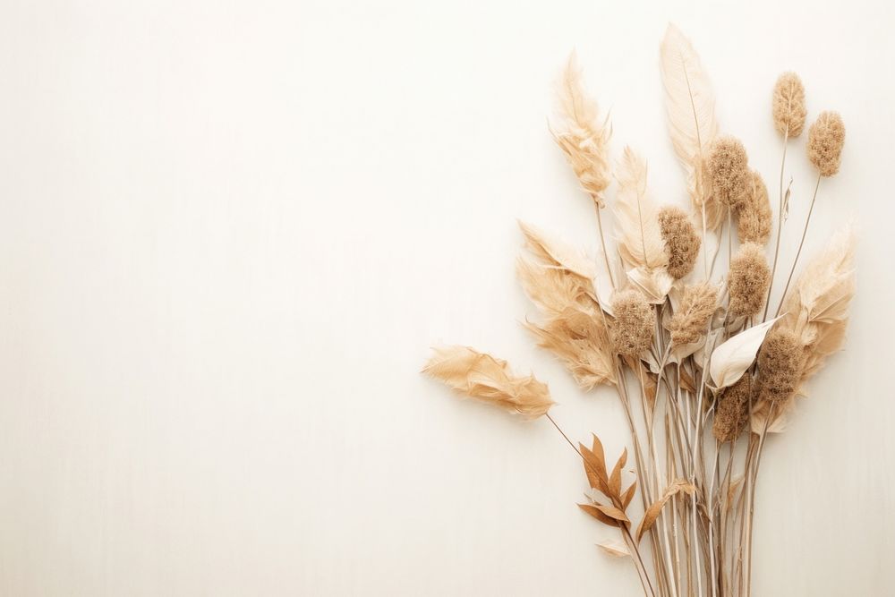 Dried bouquet background backgrounds plant wheat.
