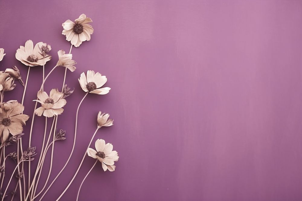 Dried purple flower background wall backgrounds blossom.