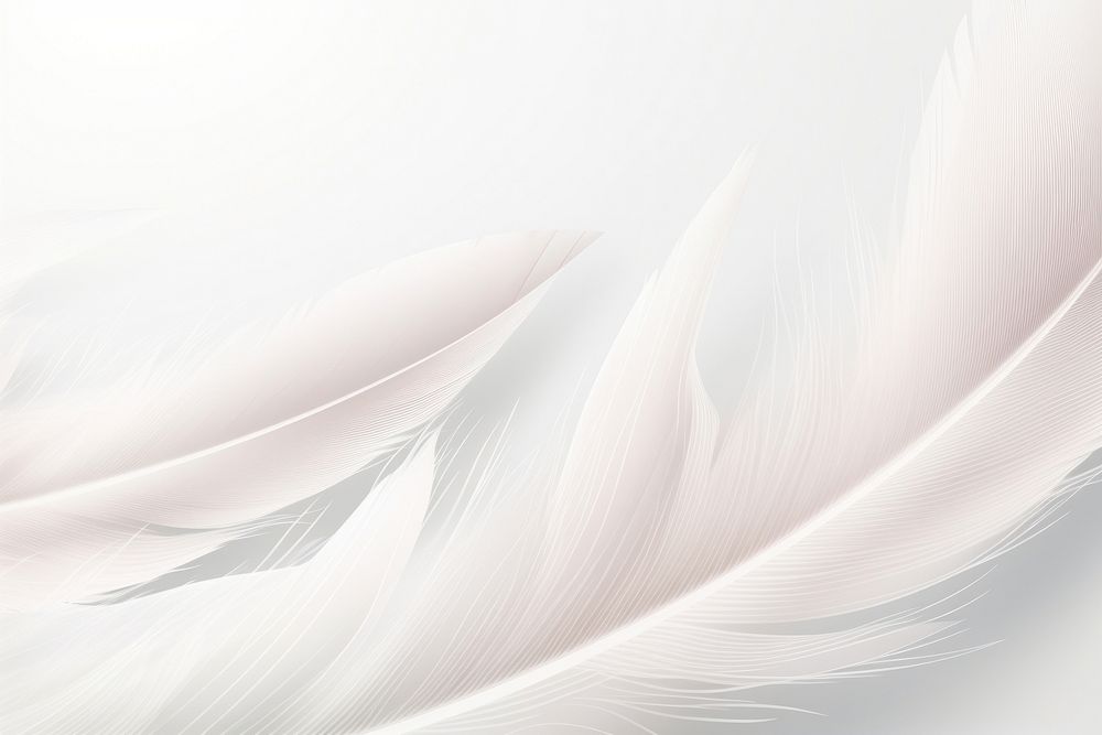 Feather background white backgrounds lightweight.