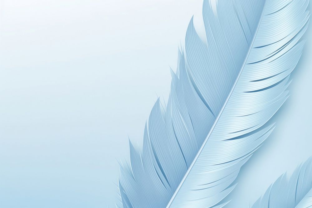 Feather background backgrounds nature blue.