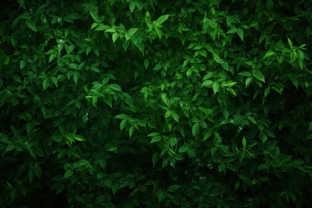 Simple green background backgrounds outdoors nature.