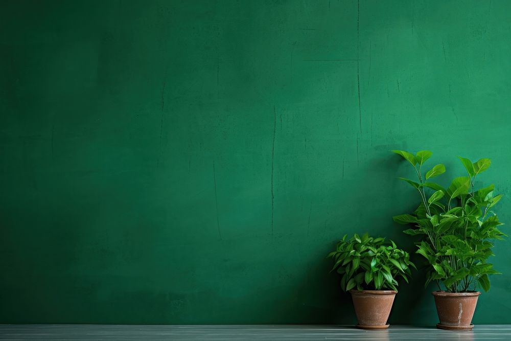 Green brick wall background architecture plant leaf.