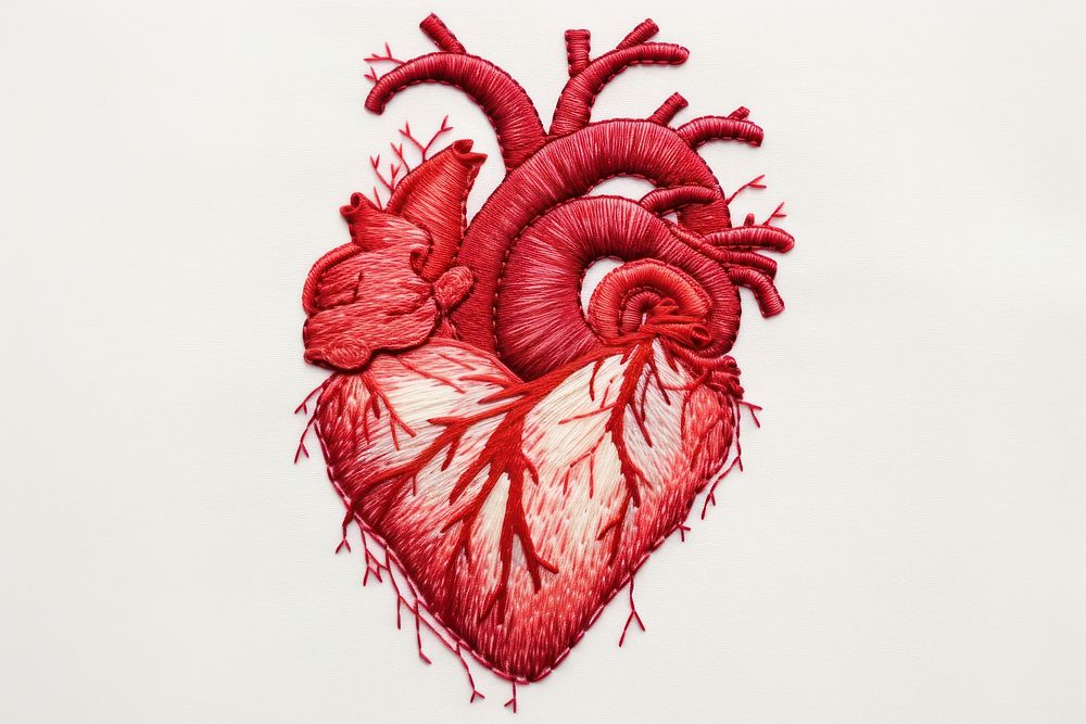 The heart in embroidery style creativity medical science.