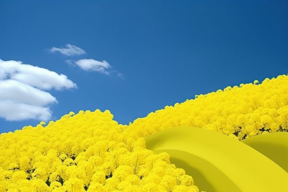 Rapeseed field sky outdoors flower. AI generated Image by rawpixel.