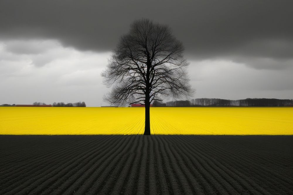 Rapeseed field outdoors nature plant. AI generated Image by rawpixel.