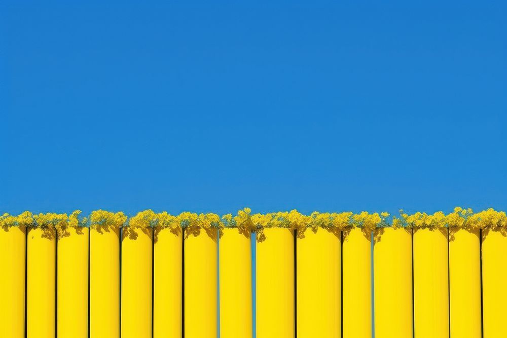 Rapeseed field outdoors nature fence. AI generated Image by rawpixel.