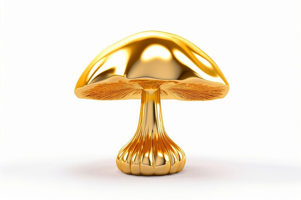 Mushroom mushroom fungus shiny.