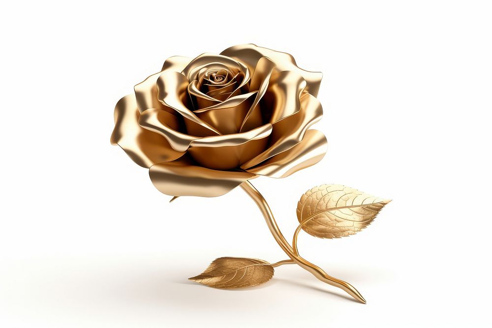 Rose flower shiny plant.