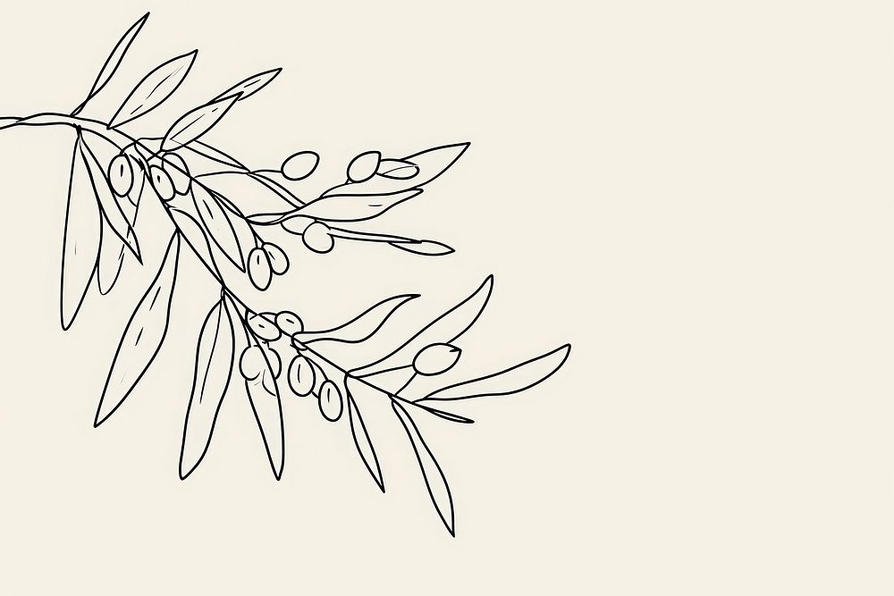 Continuous line drawing olive branch pattern sketch art.