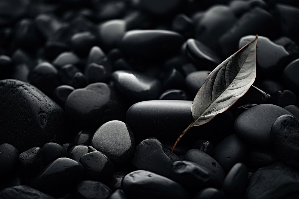 Dark background monochrome pebble black.