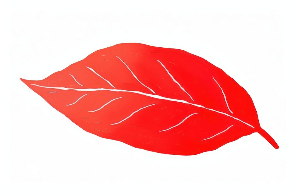 A red tree leaf plant white background blossom.