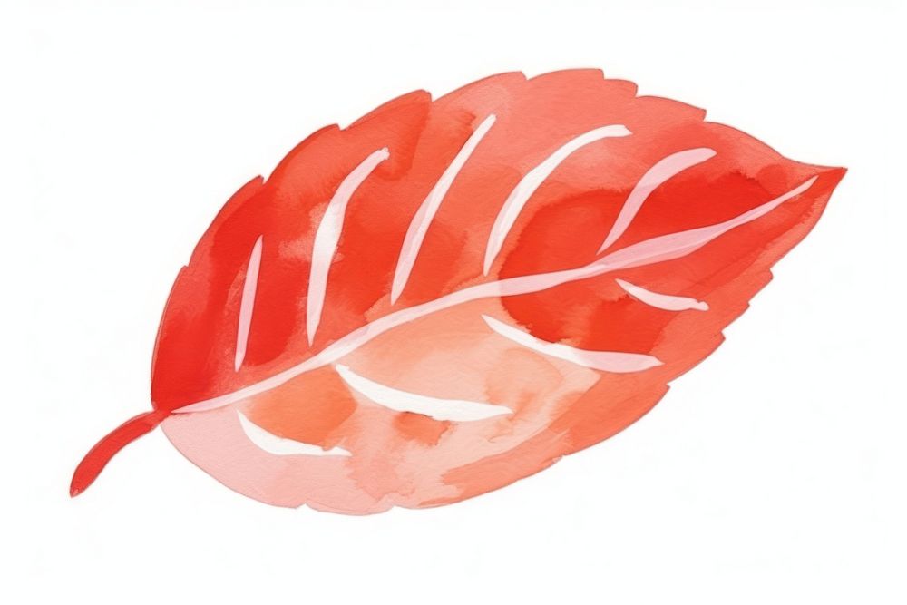 A red tree leaf food white background freshness.