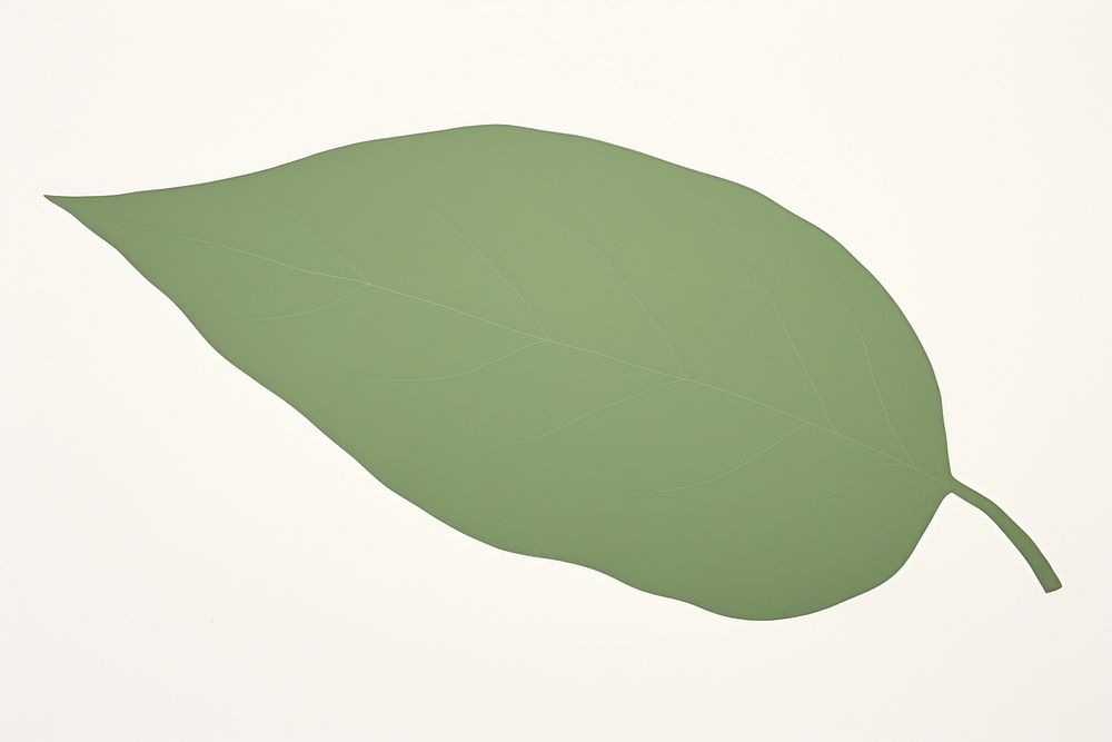 A green leaf plant clothing apparel.