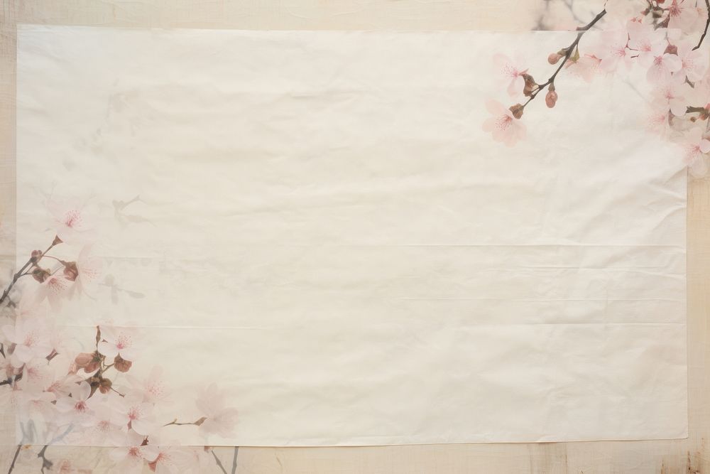 Pressed dried cherry blossom border backgrounds plant paper.