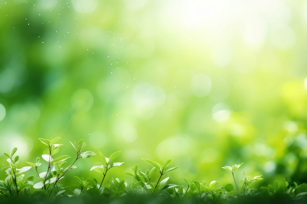  Bokeh background nature green backgrounds. AI generated Image by rawpixel.