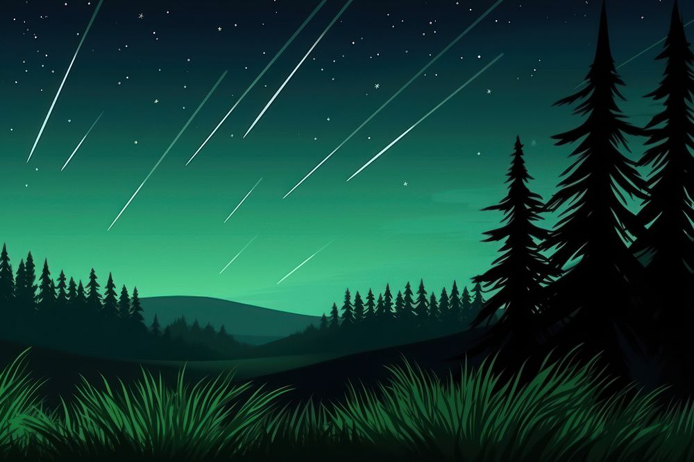 Shooting star forest landscape outdoors nature.