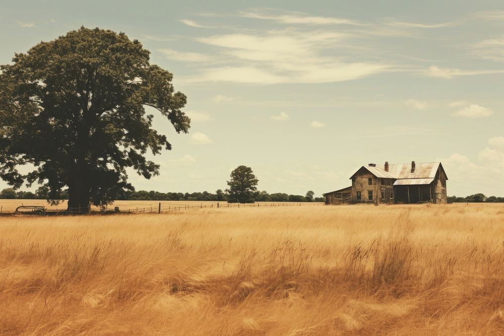 Countryside vibe architecture landscape grassland. AI generated Image by rawpixel.
