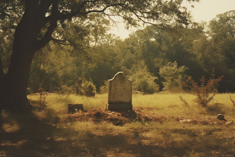 Grave tombstone outdoors cemetery. AI generated Image by rawpixel.