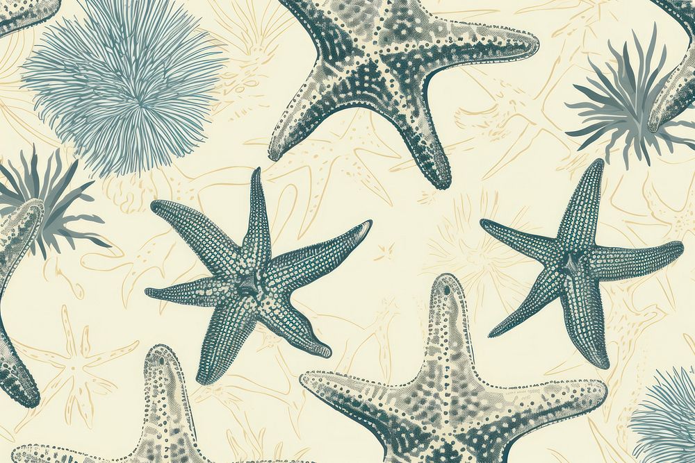 Toile wallpaper a single starfish invertebrate backgrounds echinoderm.