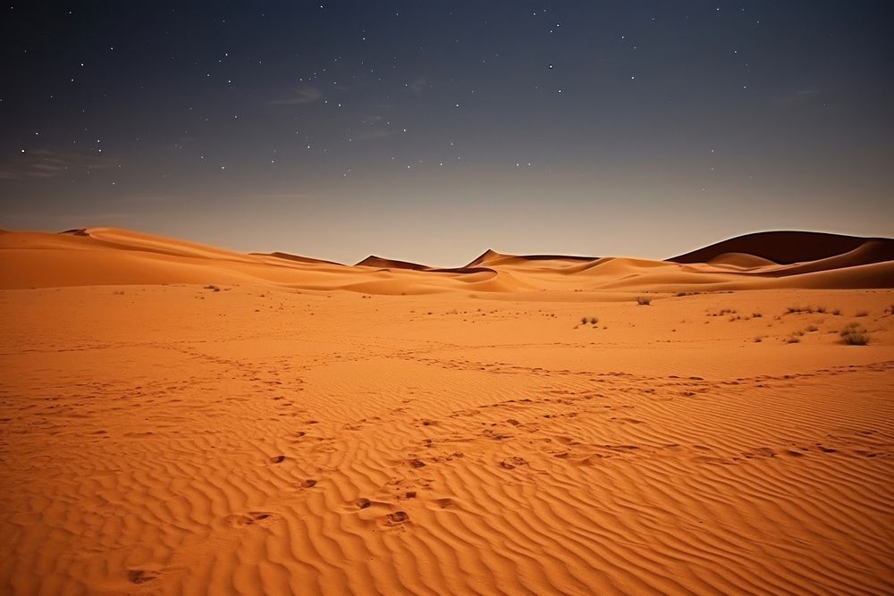 Sahara Desert desert landscape outdoors.