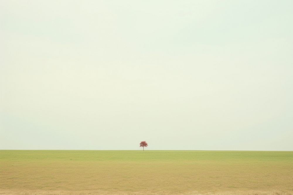 Field outdoors horizon nature. AI generated Image by rawpixel.