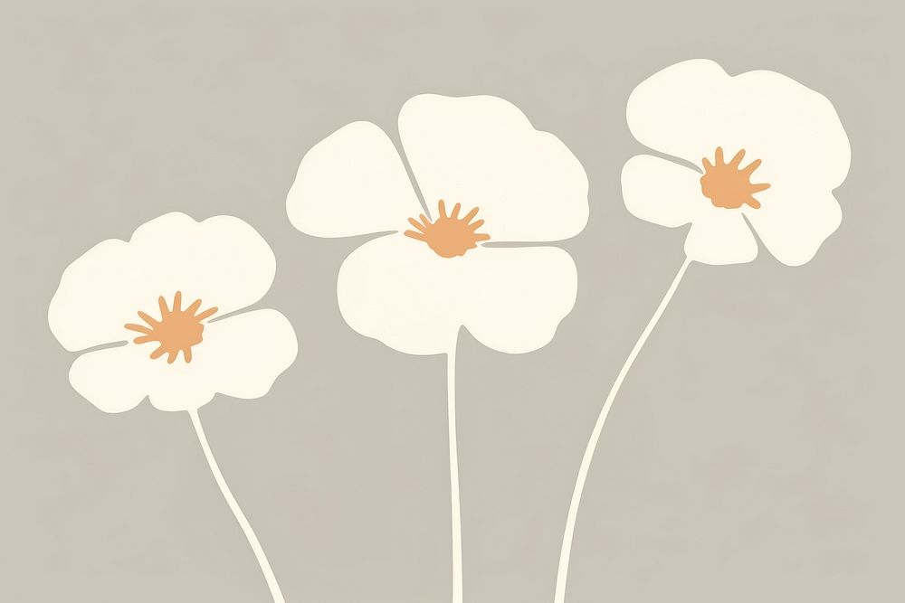 Illustration of a simple flowers petal plant inflorescence.