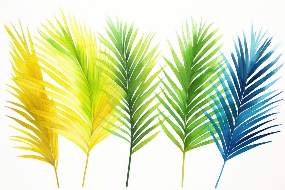 Palm leaves backgrounds plant leaf.