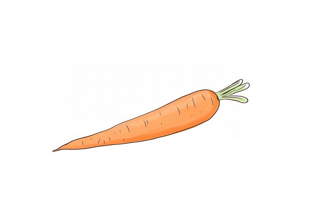 Carrot vegetable food freshness.