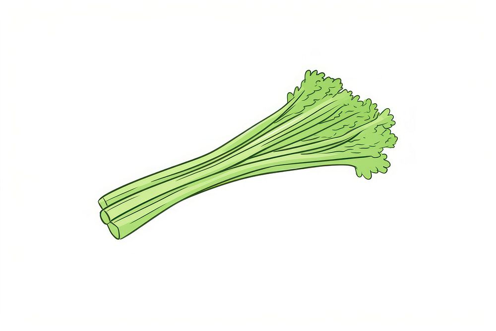 Celery food line vegetable.