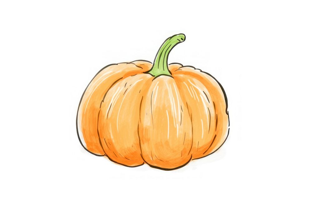 Pumpkin vegetable drawing squash.